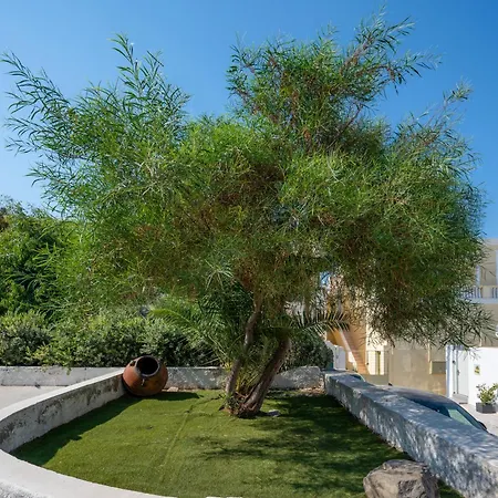 The Lemon Tree Firá