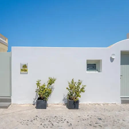 The Lemon Tree بيت للعطل *